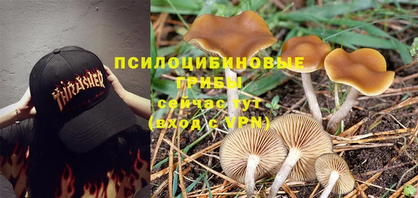 ГАЛЛЮЦИНОГЕННЫЕ ГРИБЫ Балахна
