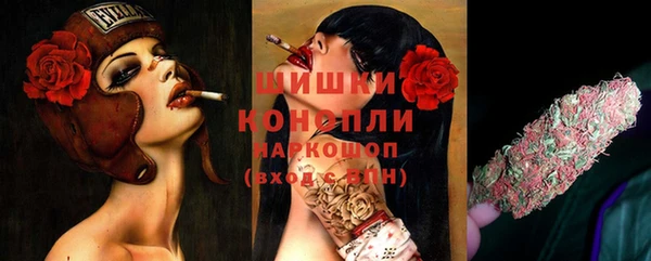 ГАЛЛЮЦИНОГЕННЫЕ ГРИБЫ Балахна
