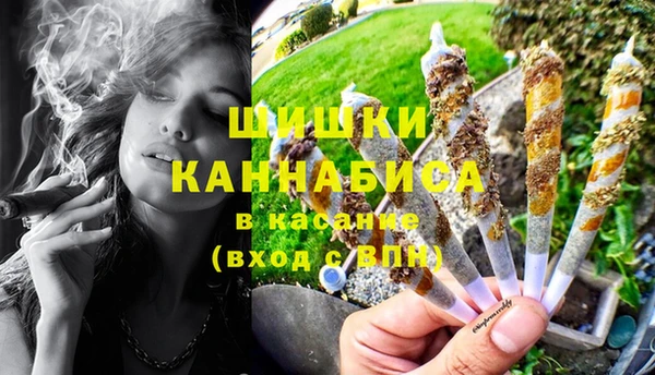 ГАЛЛЮЦИНОГЕННЫЕ ГРИБЫ Балахна