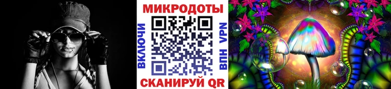 blacksprut ССЫЛКА Белорецк Псилоцибиновые грибы мицелий